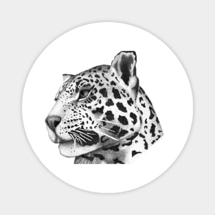 Leopard Big Cat Wildlife Exotic Animal Nature Magnet